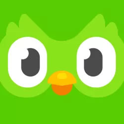 Duolingo Language Lessons.webp