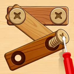 Wood Screw Puzzle.webp